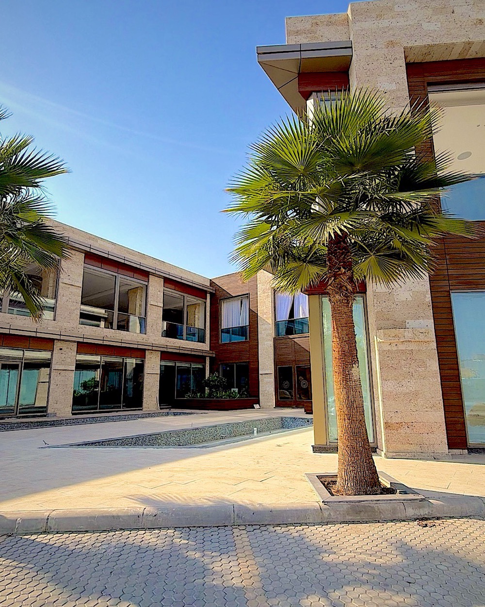 المبنى التجاري — الممرات والنخيل